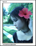 CIMG0580