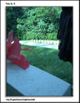 CIMG0586