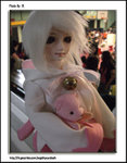CIMG0329