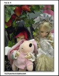 CIMG0440