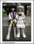 CIMG0449