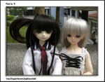 CIMG0451