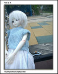 CIMG9953