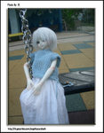 CIMG9954