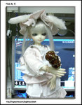 CIMG0682