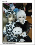 CIMG1330
