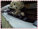 IMGP0824_resize