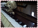 IMGP0825_resize