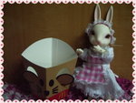 IMGP0936_resize