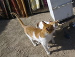 20120123281