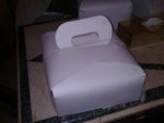 20120124291
