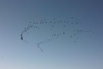 IMG_1623