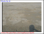 STB_7942