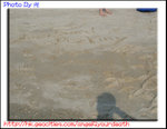STC_7943