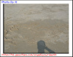 STD_7944