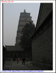 IMG_7961