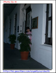 CIMG3208