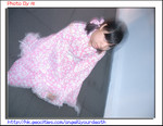 CIMG3226
