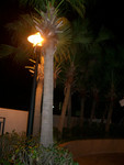 CIMG6271