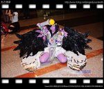 IMG_8062