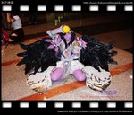 IMG_8063