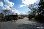 CKY_6768