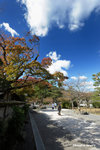 CKY_6775