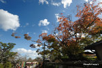 CKY_6778
