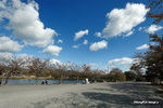 CKY_6782