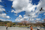 CKY_6789