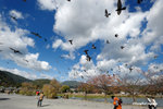 CKY_6790