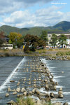CKY_6797