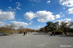 CKY_6801