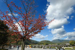 CKY_6806