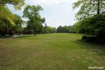 CKY_2429