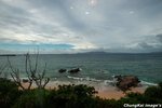 CKY_1125