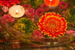IMG_7571