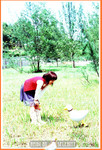 heidi-etc-023