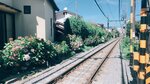 IMG_3660