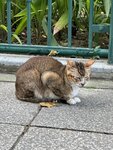 IMG_9328