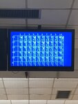 IMG_2811