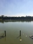 IMG_0548
