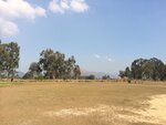 IMG_0552