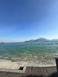 IMG_8775