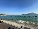 IMG_8776