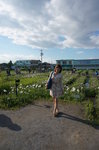 花期は5月下旬から６月中旬ごろ