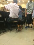 很有鏡頭觸角嘛