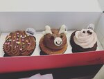 Twelve cupcakes (Xmas limited edition)