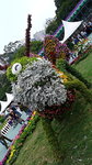 P1000431