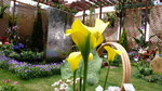 P1000437